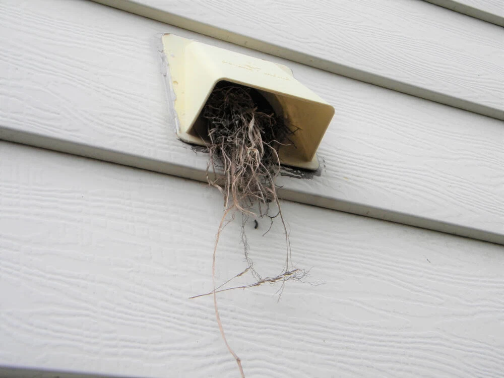A yellow exterior vent on a house is clogged with dried grass and debris, likely from a bird’s nest, sticking out of the vent opening—an issue that could benefit from professional dryer vent cleaning New Jersey.
