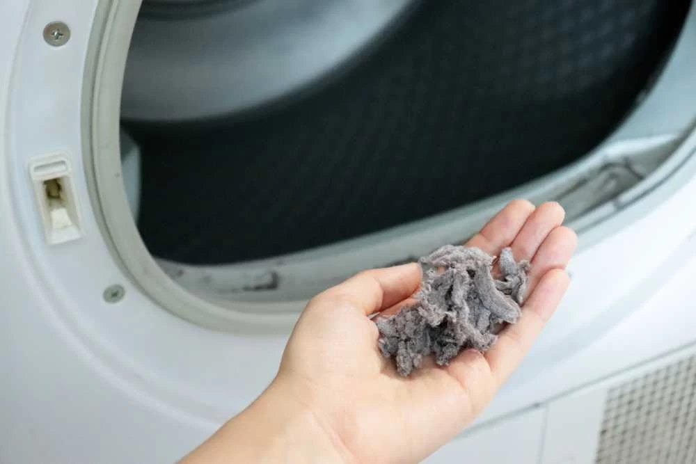 A hand holding a clump of gray dryer lint in front of the open door of a clothes dryer, highlighting the importance of regular dryer vent cleaning New Jersey to maintain safety and efficiency.