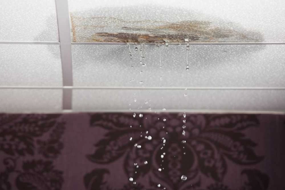 Water dripping from a stained, damaged ceiling tile onto the floor below suggests a significant roof or plumbing leak. Patterned wallpaper is visible in the background—prompting the need for thorough air duct services New Jersey.