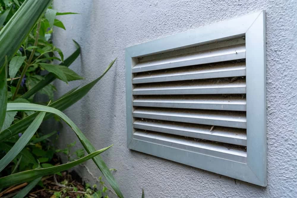 A close-up of a metal ventilation grille installed on a light gray exterior wall, with green plants growing nearby at the base of the wall.