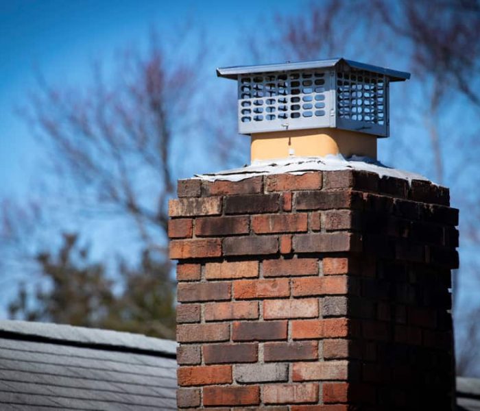 Chimney,Cap,Installed,To,Prevent,Rodent,Entry,To,Home/attic/building